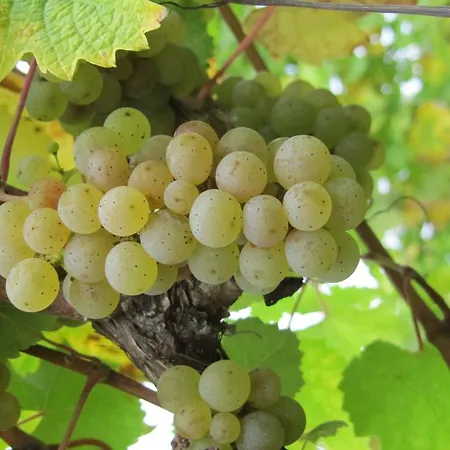 Juffer Flair Restaurant 2*