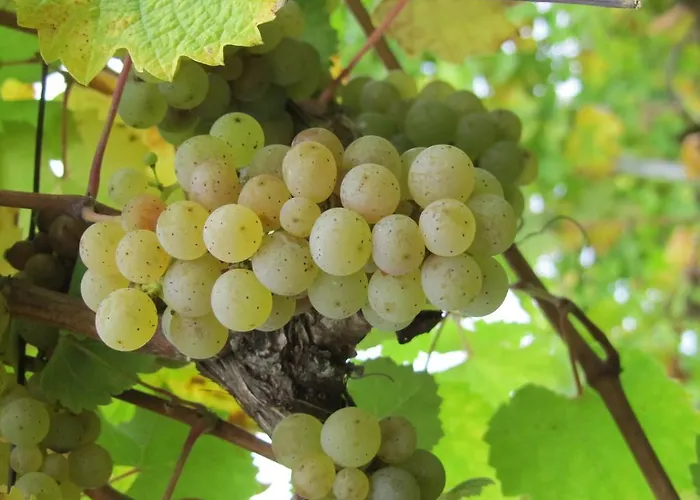 Juffer Flair Restaurant Gaestehaus 2*