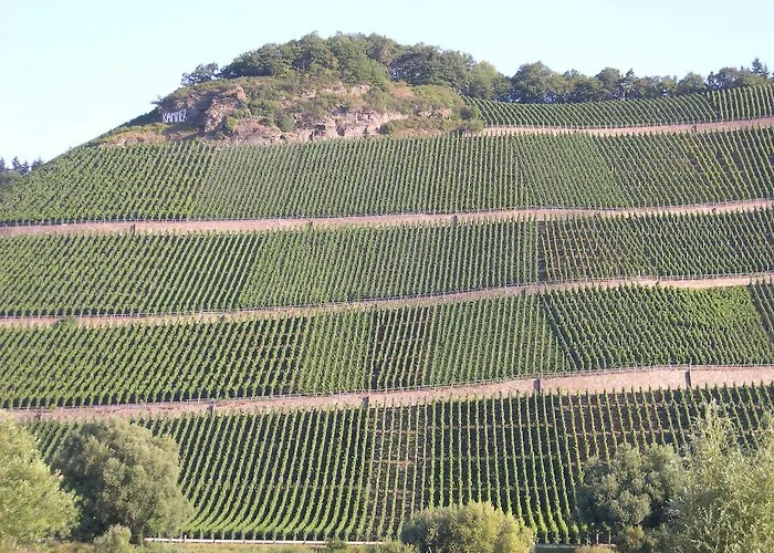 Juffer Flair Restaurant Hotel 2*